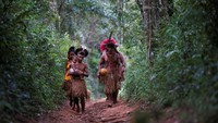 Kondisi mengkhawatirkan yang dialami suku Nao Xoha itu pun telah diketahui oleh lembaga perlindungan adat pemerintah Brasil, Funai. lembaga itu pun telah mengirimkan donasi kepada keluarga-keluarga suku Nao Xoha.