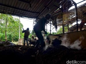 Bermanfaat! di Tempat Ini Sampah Diubah jadi Pupuk Kompos