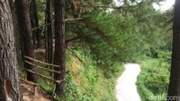 Alamnya begitu sejuk. Jalan menuju kemari pun sudah bagus (Abdy Febriady/detikTravel)