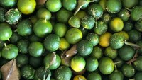 Warnanya hijau dengan semburat kekuningan. Ini dia lemon cui asal Belitung yang enak dijadikan sebagai pelengkap sambal hingga tambahan bumbu asinan. Foto: Instagram@fifiletyyjahapurnama