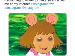 Instagram Down, Meme Bertebaran