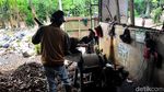 Bermanfaat! di Tempat Ini Sampah Diubah jadi Pupuk Kompos