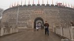 Foto: Pohon Berbentuk Naga karena Dipegang Kaisar China