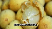 Hayo jawab, lebih pait mana nih? Harusnya kan kisah cinta terasa manis ya. Foto: Istimewa