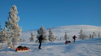 Diberkahi oleh musim dingin yang lama bukan main, tak sedikit traveler datang ke sini untuk menikmati salju dan bermain ski hingga kereta salju (Visit Finland)