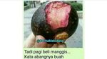 10 Meme Lucu Soal Buah Ini Dijamin Bikin Segar dan Ngakak