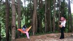 Foto: Hutan Pinus yang Indah Ini Bukan di Pulau Jawa