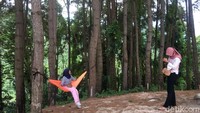 Wisatawan yang datang tak melewatkan kesempatan foto-foto (Abdy Febriady/detikTravel)
