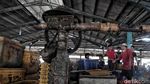 Melihat Aktivitas Pedagang Ikan Tradisional Jelang Relokasi