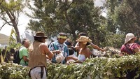 Easter Island dihuni sekitar 4.700 orang. Mereka berprofesi sebagai nelayan dan juga berkebun untuk memenuhi kebutuhan sehari-hari (iStock)