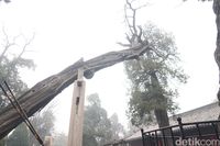 (Bonauli/detikTravel)