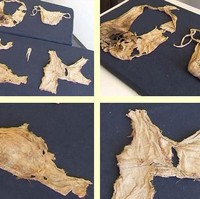 Ternyata keberadaan bra modern telah eksis sejak ratusan tahun lalu dan ini cukup membuat para sejarawan dan arkeolog tercengang. Foto: Dok. Universitat Innsbruck