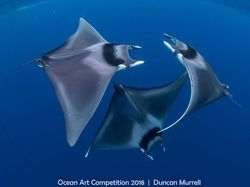 Karya Mengagumkan Jawara Ocean Art Underwater 2018