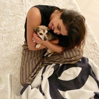 Tidur anjing chihuahua ini lebih hangat dengan selimut keluaran Chanel. Di eBay, selimut serupa dibanderol US$ 2.650 atau Rp 37 juta. Foto: Dok. Instagram @diariesofdiana