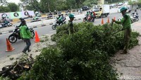 Petugas membersihkan batang pohon dan dedaunan.