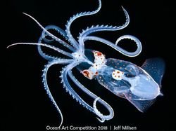 Karya Mengagumkan Jawara Ocean Art Underwater 2018