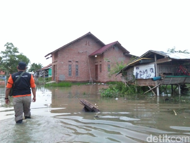 Banjir di Pesisir Karawang, Sawah-Tambak Terancam Gagal Panen