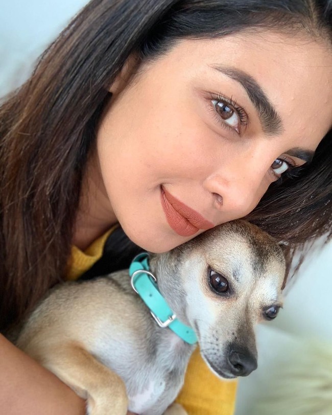 Kalung anjing Diana berwarna hijau tosca bukan dari sembarang merek. Kalung itu datang dari perusahaan perhiasan Tiffany & Co. seharga US$ 300 atau Rp 4,2 jutaan. Foto: Dok. Instagram @diariesofdiana