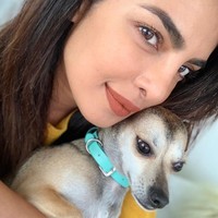 Kalung anjing Diana berwarna hijau tosca bukan dari sembarang merek. Kalung itu datang dari perusahaan perhiasan Tiffany & Co. seharga US$ 300 atau Rp 4,2 jutaan. Foto: Dok. Instagram @diariesofdiana