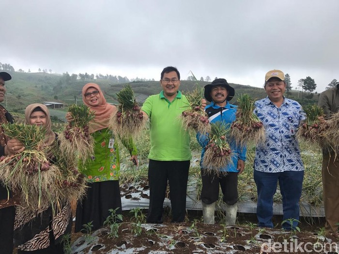 Foto: Iin Yumiyanti/detikcom Foto: Iin Yumiyanti/detikcom