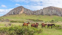 Easter Island masuk dalam wilayah negara Chile. Jarak dari daratan Chile, Kota Santiago (ibukota negaranya) misalnya, yakni 3.753 km dan dapat ditempuh dengan penerbangan selama 5 jam (iStock)