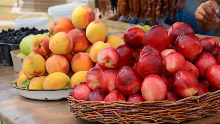 Ilustrasi buah-buah untuk Imlek.