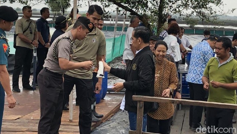 Detik-detik Jokowi Berdarah Kena Patil Udang yang Tiba-tiba Loncat Detik-detik Jokowi Berdarah Kena Patil Udang yang Tiba-tiba Loncat