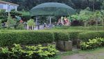 Foto: Tempat Asyik Basah-basahan di Ciwidey