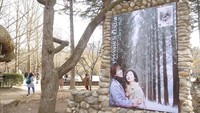 Pulau Nami menjadi objek wisata yang begitu ditemani turis setelah muncul dalam drama Korea Winter Sonata (Kurnia/detikTravel)
