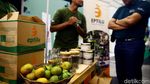 Tanaman Hidroponik Mejeng di Green Festival 2019