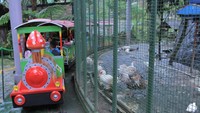 Kalau mau, anak-anak bisa melihat unggas-unggas itu dari atas kereta mainan yang dapat berjalan mengelilingi sangkar raksasa itu (Wisma Putra/detikTravel)
