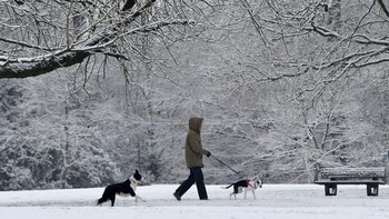 Seorang pria di Derbyshire sedang mengajak jalan kedua anjingnya dengan latar belakang hamparan salju. (Foto: Anthony Devlin/Getty Images)