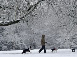 Indahnya Alam Bernuansa Salju, Seperti Wallpaper Komputer!