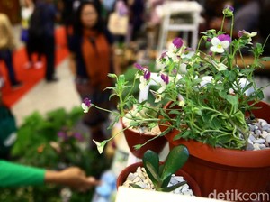 Ekonomi Agrikultur: Pengertian, Contoh, dan Cara Mengoptimalkannya