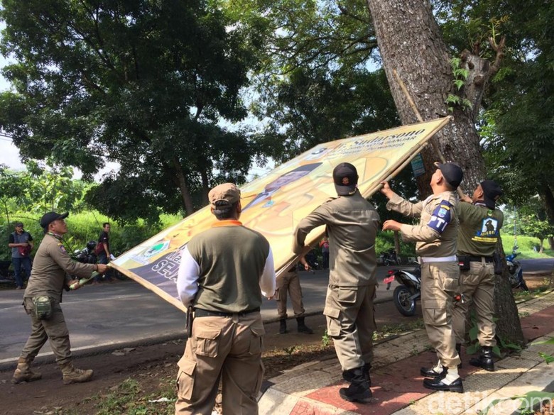 Atribut Caleg Penghuni Pohon Dicopot Satpol PP Banjar Atribut Caleg Penghuni Pohon Dicopot Satpol PP Banjar