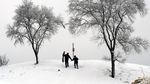 Potret AS Seperti Kutub, Dilanda Suhu Minus 54 Derajat Celcius!
