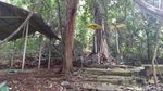 Potret Hutan di Banjar yang Lekat Nuansa Mistis