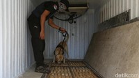 Hasilnya, petugas menemukan bungkusan-bungkusan ganja yang disembunyikan dalam kompartemen khusus di dasar truk yang ditutup dengan pelat besi.