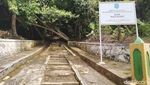 Potret Hutan di Banjar yang Lekat Nuansa Mistis