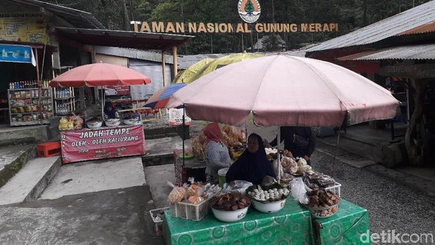 Situasi sekitar TN Merapi