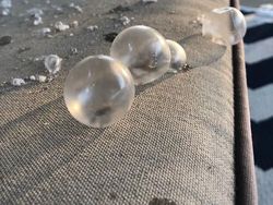 Potret Viral Dampak Ajaib Suhu Dingin Polar Vortex