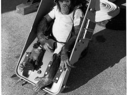 Ham, Pendahulu Yuri Gagarin dan Neil Armstrong di Luar Angkasa