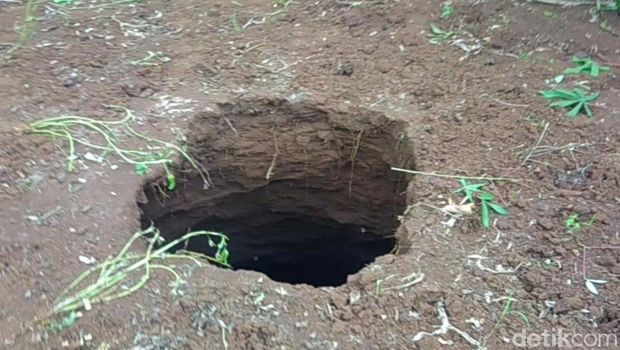 Tanah Ambles, Ada Lubang Menganga di Ladang Jagung Gunungkidul