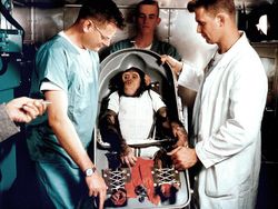 Ham, Pendahulu Yuri Gagarin dan Neil Armstrong di Luar Angkasa