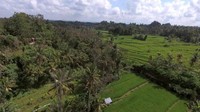 Inilah Ubud. Ada di Kabupaten Gianyar yang ditawarkan adalah lingkungan kerja yang lebih nyaman dan pemandangan indah tentunya (BBC Capital)