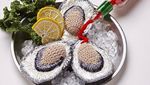 Gemas! Siapa Sangka Aneka Seafood Ini Terbuat dari Benang Wol dan Payet