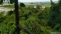 Konon, tempat yang punya nuansa alam sejuk ini menyimpan cerita mistis dan angker (Dadang/detikTravel)