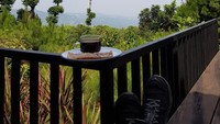 Ekologi pagi..m, tulis pria kelahiran Manado, 20 Januari 1959 itu. Menu sarapannya tak jauh dari secangkir kopi dan sepotong gorengan. Lagi-lagi ngopi sambil menikmati pemandangan asri. Foto: Twitter Rocky Gerung