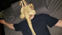 Kalau facehugger ala Jared bukan memasukkan embrio alien melainkan aliran udara. (Foto: jaredisgray.com)