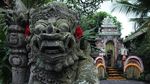 Potret Kehidupan Perantau Digital Asing di Bali